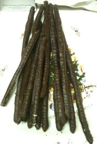 chocolate coated breadstrcks