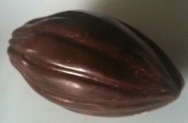 paul a young cocoa pod