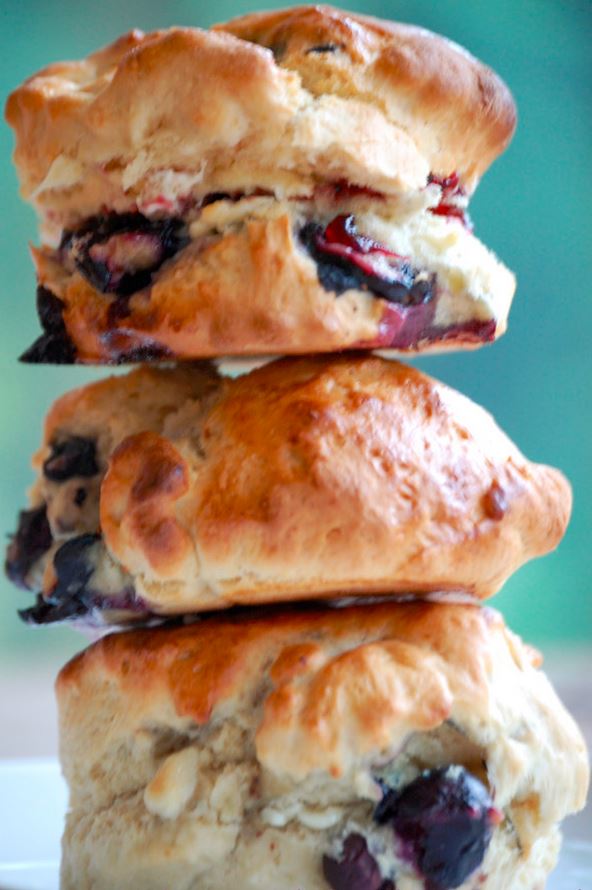 Blueberry and White Chocolate Scones
