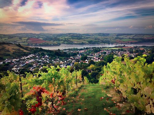 Taste of the Teign Food and Drink Festival, 25 September-01 October