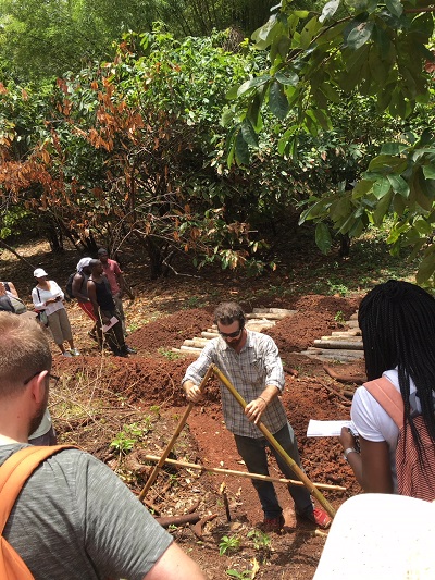 Tri Islands cocoa plantation